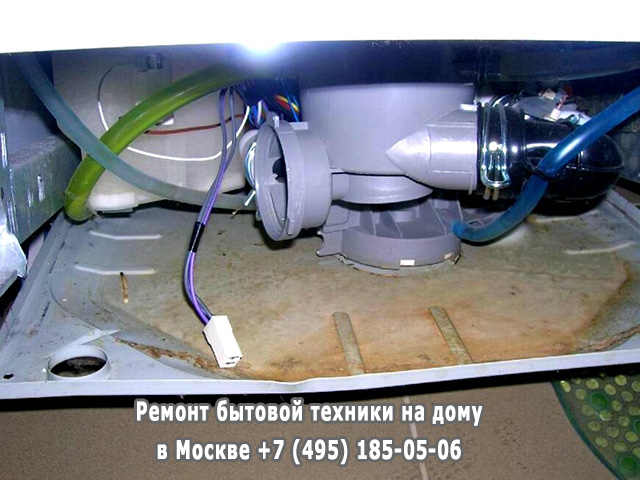 Можно ли под варочную панель поставить посудомойку