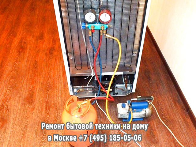 Почему пахнет в холодильнике