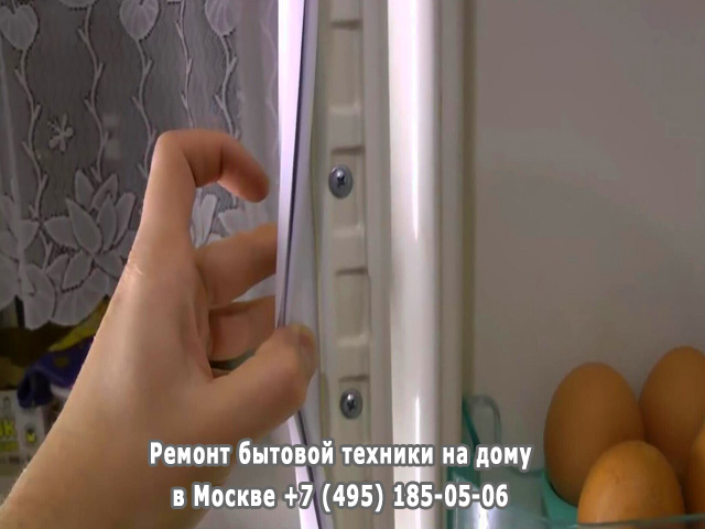 Скрипит дверь холодильника что делать
