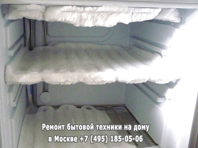 Холодильник Бирюса не отключается причины