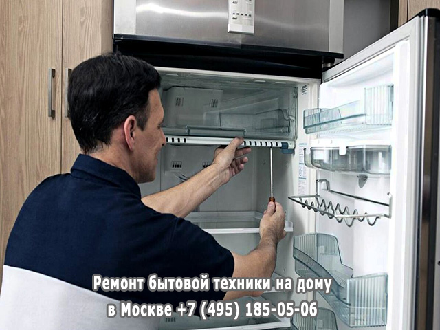 Шумит холодильник что делать