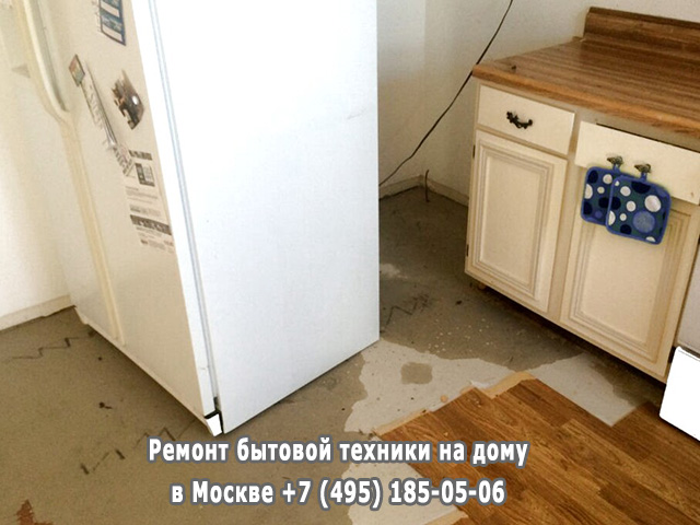 Почему дверь холодильника не присасывается